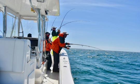 Location de pêche SeaCraft Master Angler de 26 pieds à Truro, Massachusetts