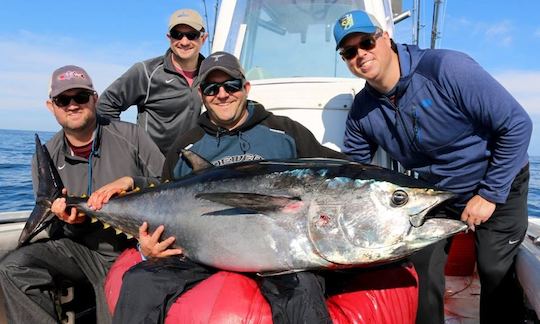 Location de pêche SeaCraft Master Angler de 26 pieds à Truro, Massachusetts