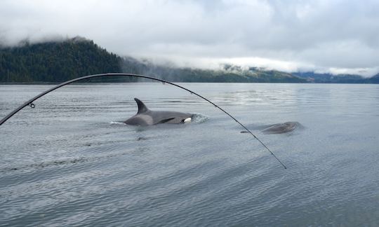 Fishing the entrance to the Yucalta Rapids