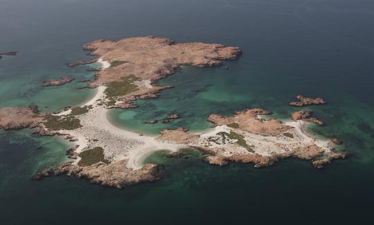 Excursion de plongée avec tuba dans les îles Daymaniyat