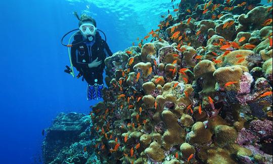 Maravilhosa aventura de mergulho em Ancara, Turquia