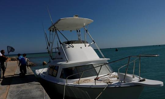 Aluguel de barcos de pesca em Red Sea Governorate