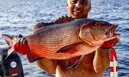 Aluguel de barcos de pesca em Red Sea Governorate