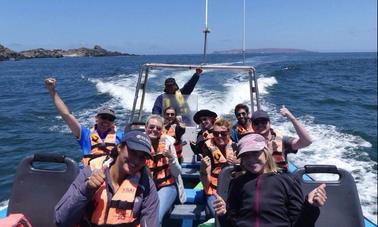 Excursión de 2 días a las ballenas y la cultura desde La Serena, Chile