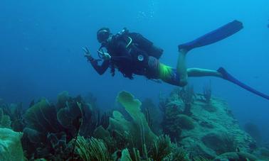 Mergulhe em Basse-Terre, Guadalupe!