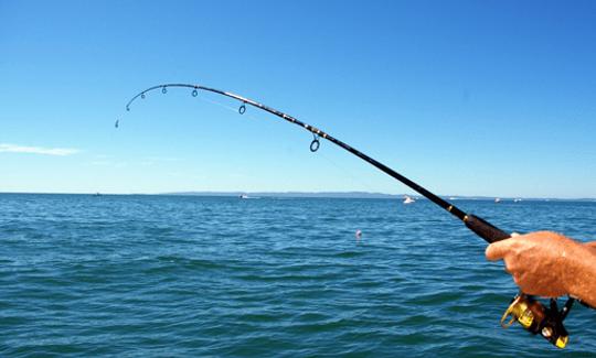 Reserve uma viagem de pesca conosco em Žaboric, Croácia