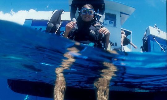 Snorkeling Tour in the Cousteau Reserve - Guadeloupe