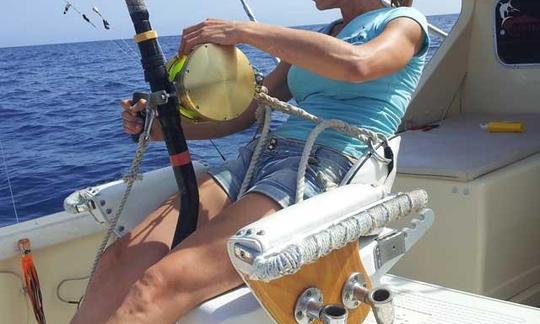 Alquiler del yate Bertram 31 Sportfishing en las Islas Canarias