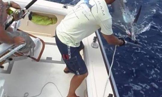 Alquiler del yate Bertram 31 Sportfishing en las Islas Canarias