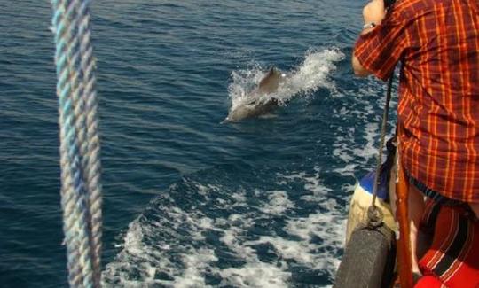 Full-Day Khasab Dhow Cruise for 25 People in Al Khasab, Oman