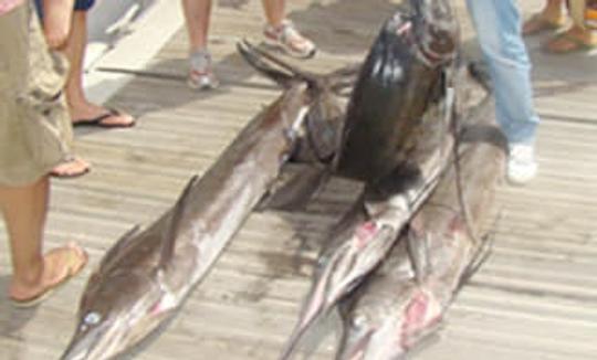 Impresionante aventura de pesca en aguas azules profundas en el mar de Omán