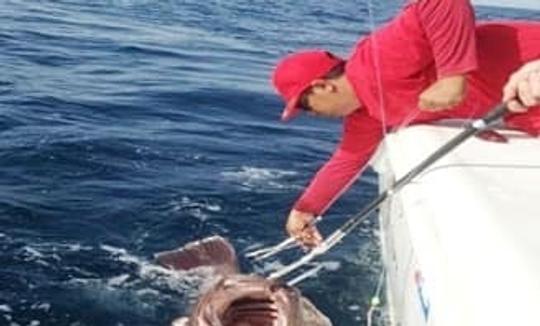 Impresionante aventura de pesca en aguas azules profundas en el mar de Omán