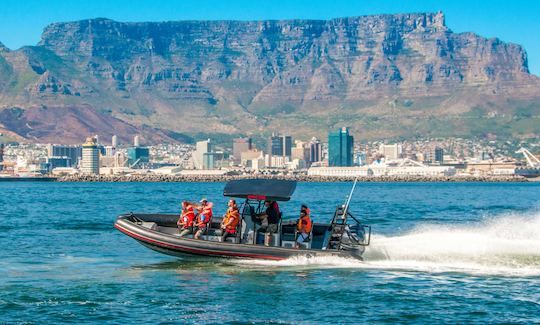 Spectre: RIB para alquiler de chárter privado en Ciudad del Cabo