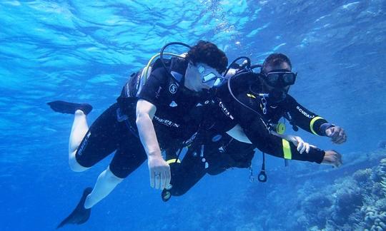 Cours de plongée sous-marine dans le gouvernorat de la mer Rouge