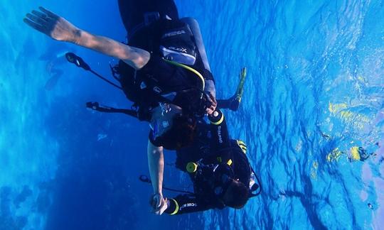 Cours de plongée sous-marine dans le gouvernorat de la mer Rouge