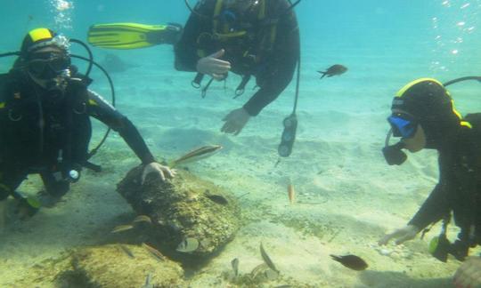 Enjoy Diving with Experienced Divers In Tyulenovo, Bulgaria