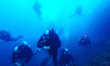 Disfruta del buceo con buceadores experimentados en Tyulenovo, Bulgaria