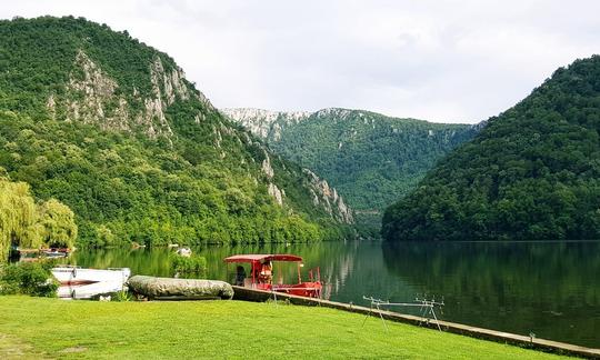 Location de console centrale pour 11 personnes maximum à Eșelnița, Roumanie