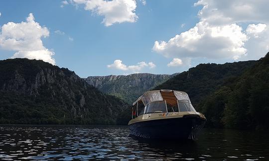 Location de console centrale pour 11 personnes maximum à Eșelnița, Roumanie