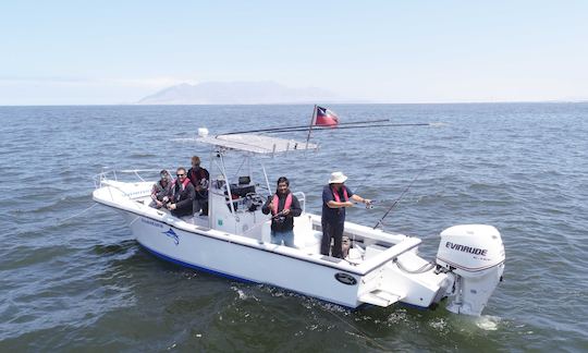 ダスキー265センターコンソールでのアントファガスタ海岸のプライベートボートツアー