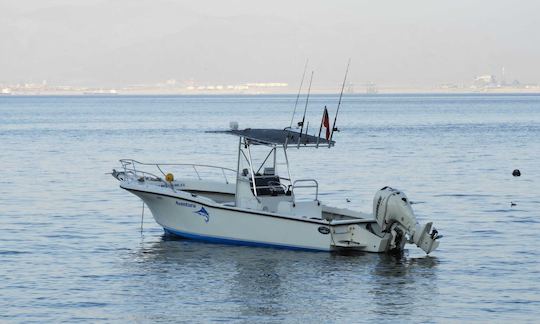 ダスキー265センターコンソールでのアントファガスタ海岸のプライベートボートツアー