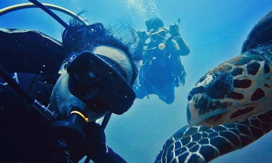 Junte-se à nossa família de mergulhadores em Pulau Tioman, Malásia