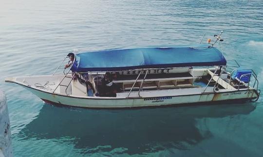 Junte-se à nossa família de mergulhadores em Pulau Tioman, Malásia