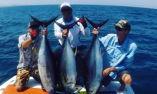 Fishing Trip On Everglades 223 Sportsfishermans Yacht In Los Barriles, Mexico