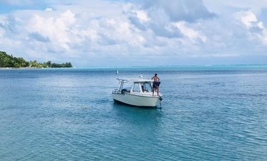 2 plongées en aquarium en bateau privé - Excursion de 4 heures à Bora Bora !