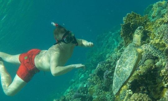 Snorkeling Boat Trip in Red Sea Governorate