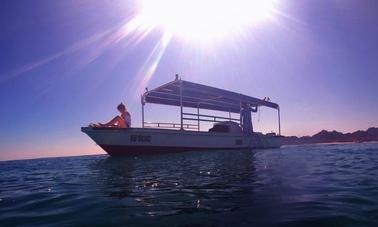 Excursion de plongée en bateau - 5 plongées à Ajman, Émirats arabes unis