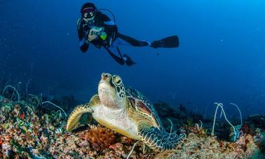 Book The Scuba Diving Adveuture With Us in Aydın, Turkey