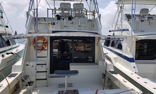 Alugue o Hattras Motor Yacht de 42 pés em Oranjestad, Aruba