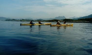 Paseos en kayak de mar en Alesund