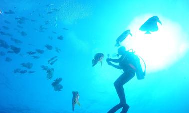 Viagem de mergulho em Fuvahmulah, Maldivas