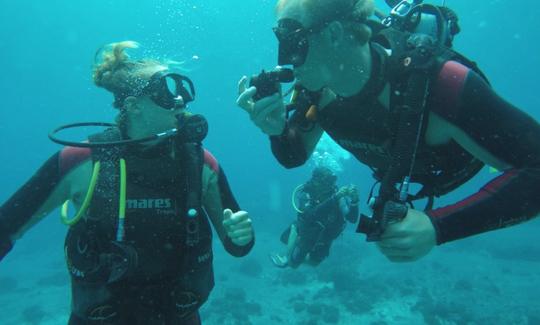 Reserve uma viagem de mergulho regular ou cursos de mergulho SSI com uma equipe de mergulho confiável em Nusa Penida, Indonésia!