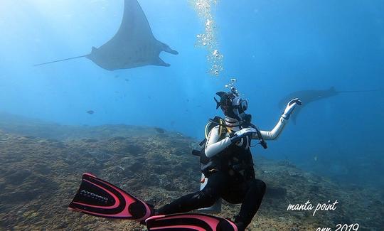 Join Us On A Scuba Diving Trip In Nusa Penida, Indonesia.