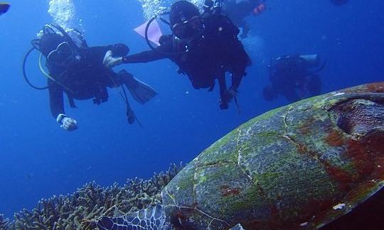 Join Us On A Scuba Diving Trip In Nusa Penida, Indonesia.