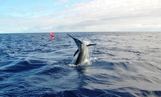 Pesca esportiva em Ponta Delgada, Açores!