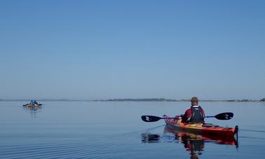 Excursión en kayak al delta del río Nemunas desde Klaipeda