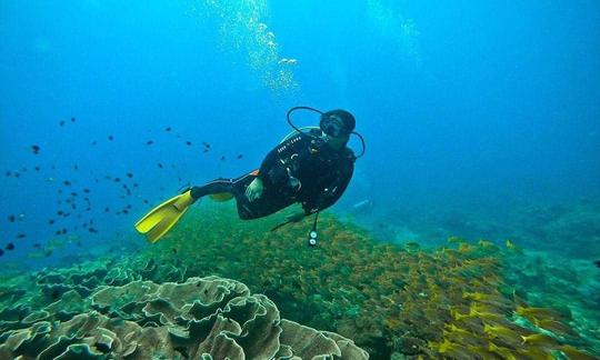 Préparez-vous à vivre une expérience de plongée inoubliable à El Nido, aux Philippines