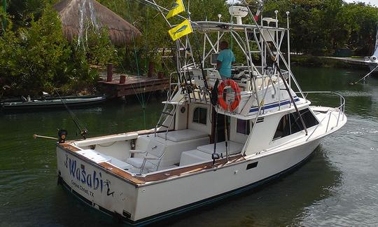 32' Blackfin - Marina de Puerto Aventuras - Playa del Carmen