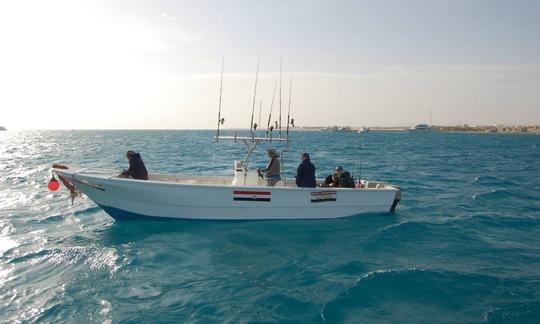 Safari de pêche époustouflant d'une semaine pour 4 personnes sur la mer Rouge, en Égypte