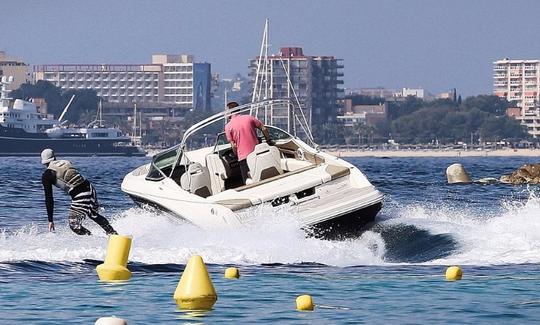 Alquiler de barcas Monterey en Palma, Illes Balears