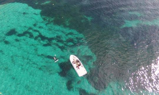 Alquiler de barcas Monterey en Palma, Illes Balears