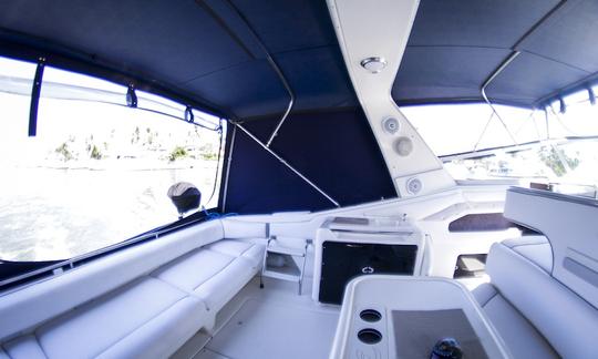 Iate casual aberto Sea Ray 42