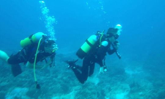 Entrenamiento de buceo con Pieter en Mpumalanga, Sudáfrica