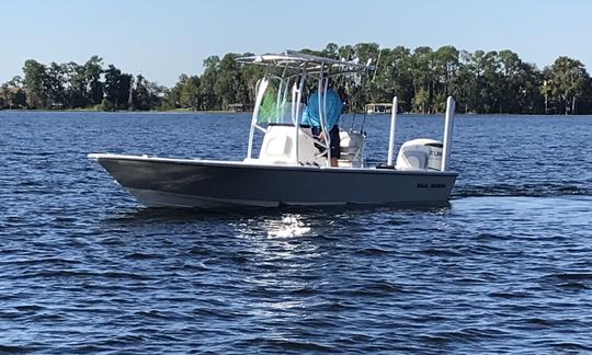 Location de bateaux à console centrale Sea Born FX24 à Windermere, en Floride