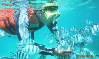 3 spot poin Snorkeling with manta rays