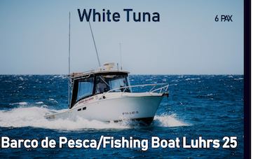 Luhrs 25 Fishing Boats Rental for Up to 6 People in Arona, Spain